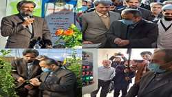 بهره برداری از گلخانه سبزی و صیفی جات خوسف با حضور استاندار و رئیس سازمان